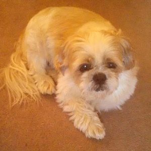 Meet your Posher, Jackie